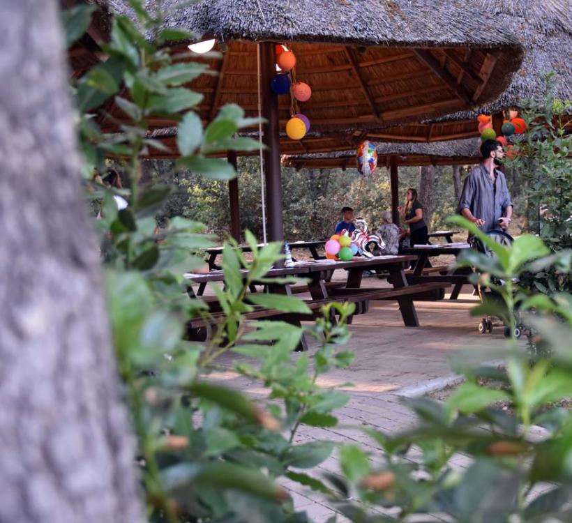 canadoclub de strandhotel-toskana-mit-restaurant 015